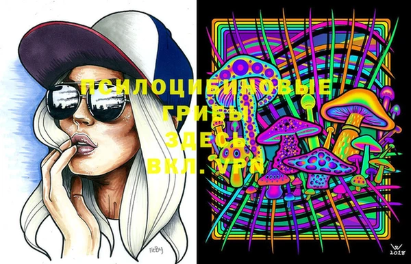 соль курить ск Новодвинск