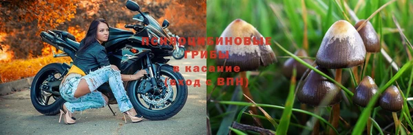 герыч Новокубанск
